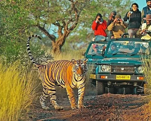 Nature & Wild Life Tour